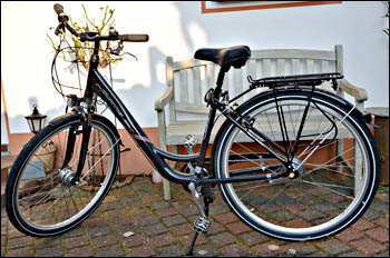 Ferienwohnung in Tönning, Garten, © 2008 Juergen Kullmann