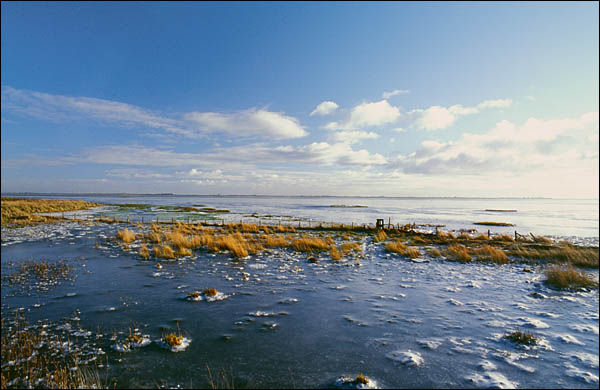 Die Eider bei Tönning, © Juergen Kullmann