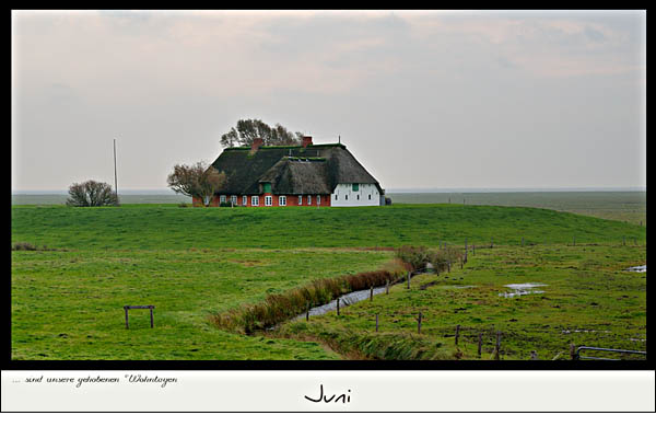 Peterheitzwarf Langeneß, © 2012 Juergen Kullmann