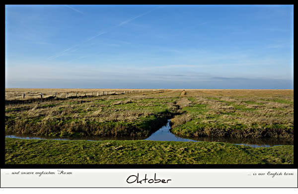 Salzwiesen bei Westerheversand, © 2013 Juergen Kullmann