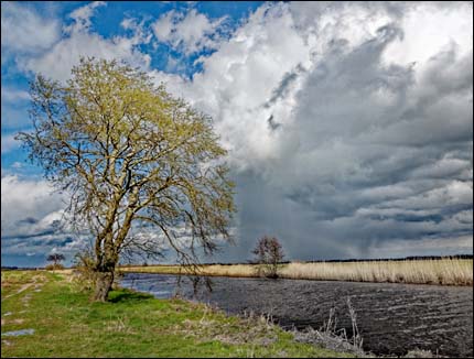 Moorlandschaft bei Worpswede © 2022 Jürgen Kullmann