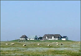 Hamburger Hallig, © 2006 Volker Schmidt