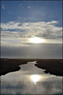 St. Peter-Ording, Salzwiesen © 2012 Jürgen Kullmann