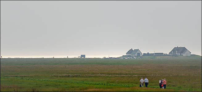 Hamburger Hallig, © 2013 Juergen Kullmann