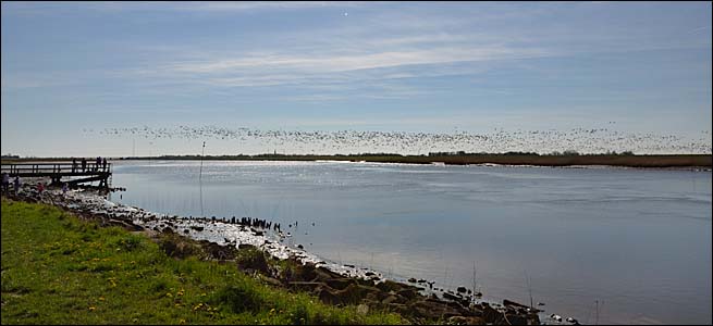 Die Eider bei Wollersum, © 2016 Juergen Kullmann