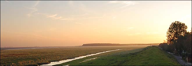 Eiderdeich bei Toenning, © 2008 Friedbert Hanisch